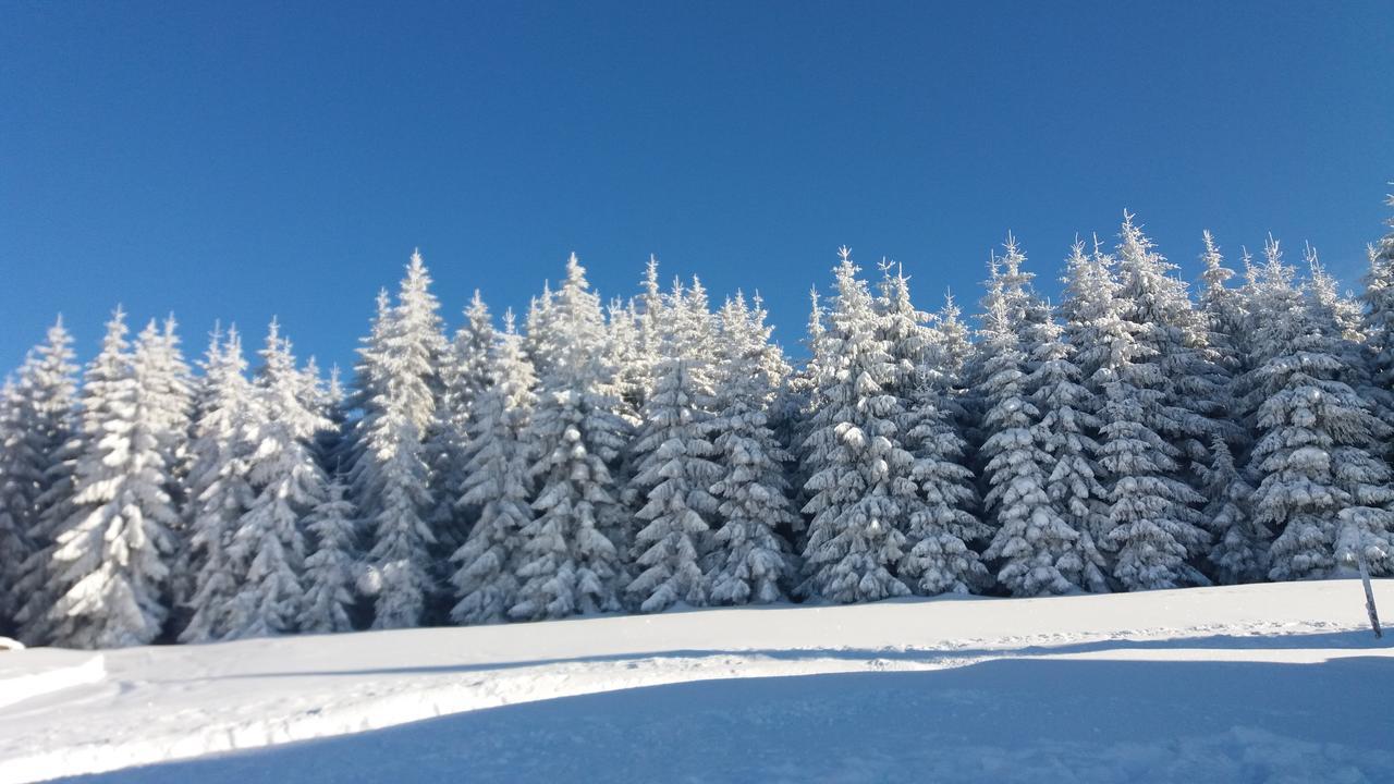 Chata Karolinka Benecko Zewnętrze zdjęcie